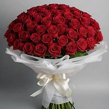 Букет 101 Красная роза Блэк Мэджик в Дзержинске
