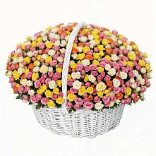 Премиум букет из: Розы в Дзержинске