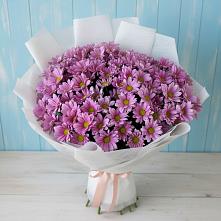 Букет цветов из:  Хризантемы в Дзержинске