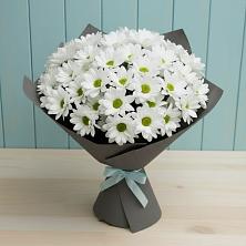 Букет цветов из:  Хризантемы в Дзержинске