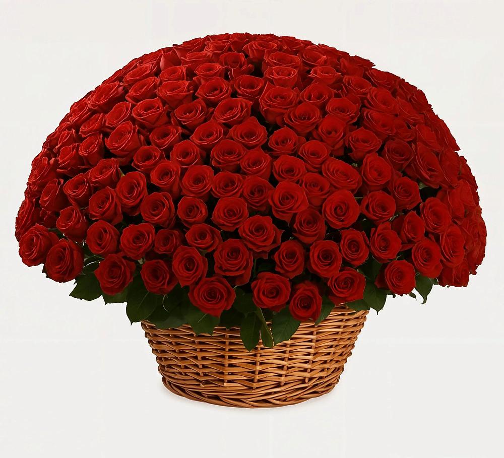 Премиум букет из: Розы в Дзержинске