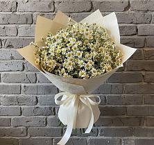 Букет цветов из:  Ромашки в Дзержинске