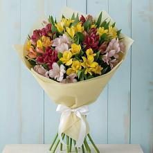Букет цветов из:  Альстромерии в Дзержинске
