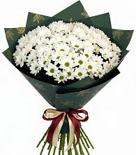 Букет цветов из:  Хризантемы в Дзержинске