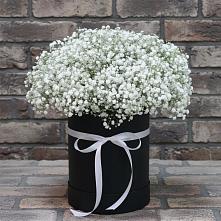 Цветочная композиция из Гипсофила в шляпной коробке в Дзержинске
