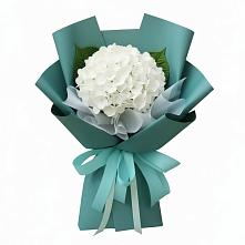 Букет цветов из:  Гортензия в Дзержинске